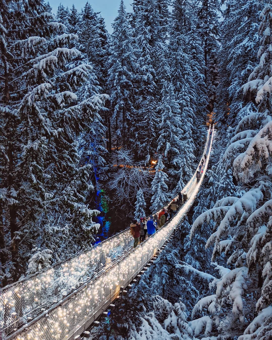 Canyon Lights at Capilano Suspension Bridge Park returns to brighten