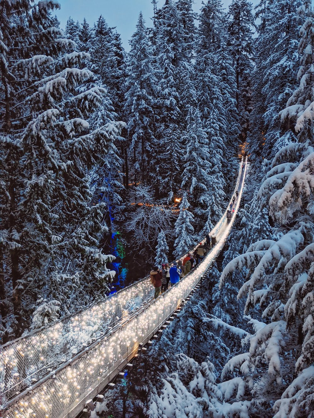 Capilano Suspension Bridge Park Kick Starts Vancouvers Holiday Season